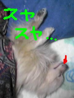 poron_blog.0602