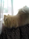 poron_blog.0405