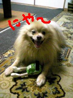 poron_blog.081002