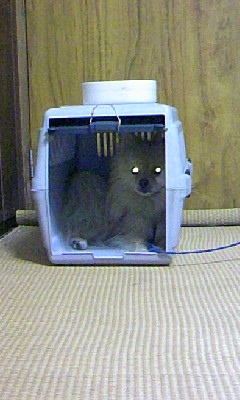 poron_blog081703