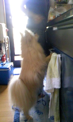 poron_blog.110601
