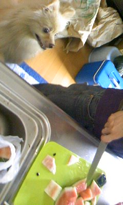 poron_blog.110602