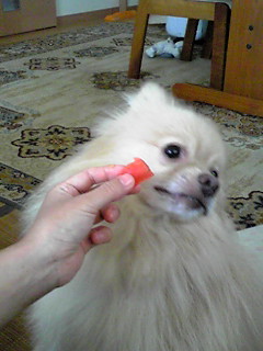 poron_blog.110603