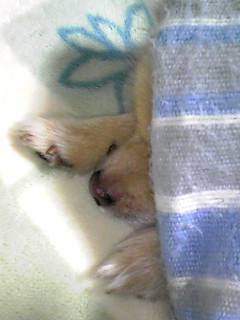 poron_blog.1127
